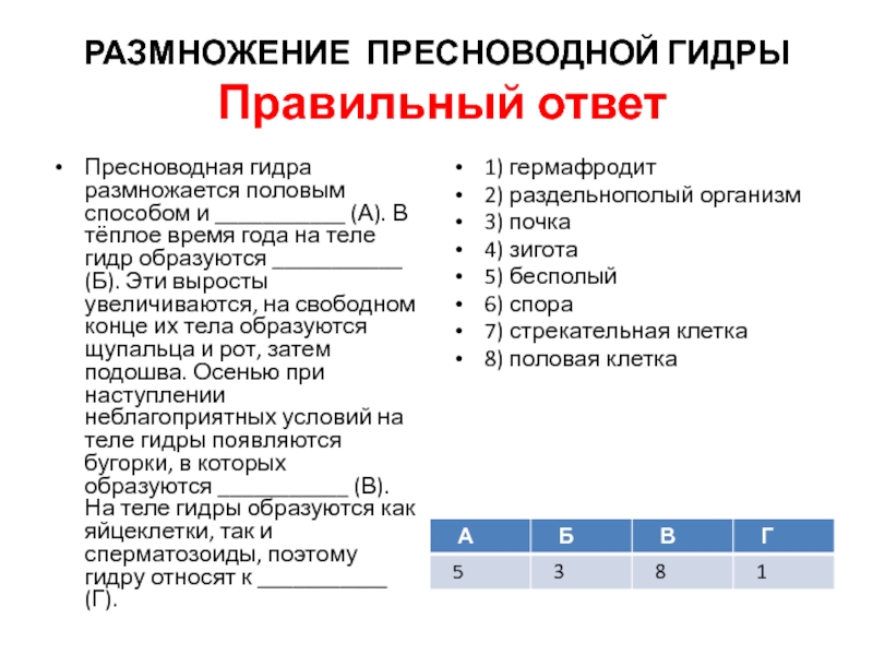 Кракен зеркало на сегодня